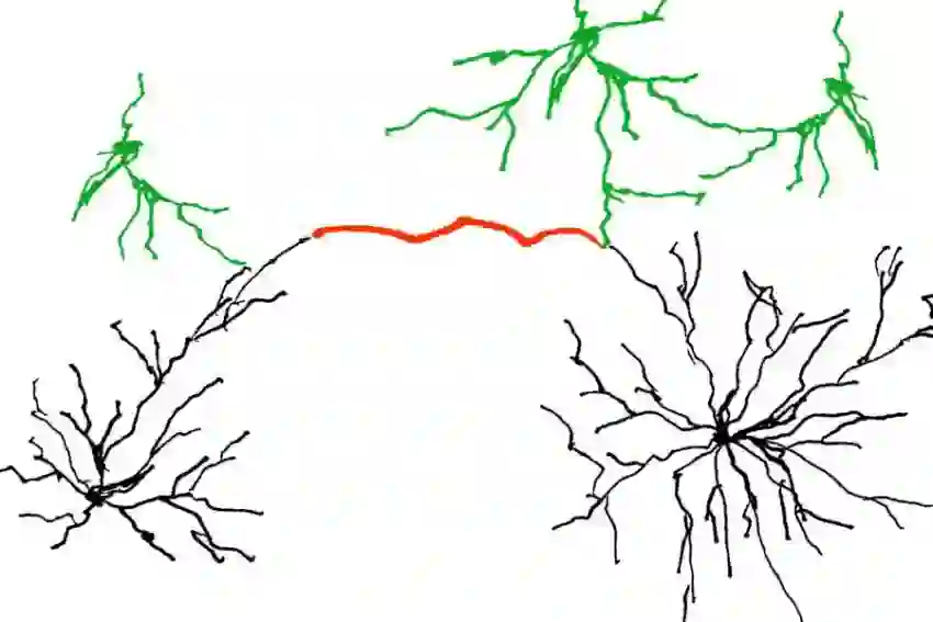 Dendritische Verbindungen · Metapher für Entscheidungsarchitektur